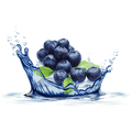 Blueberry (OS)