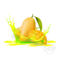 Mango (OS)