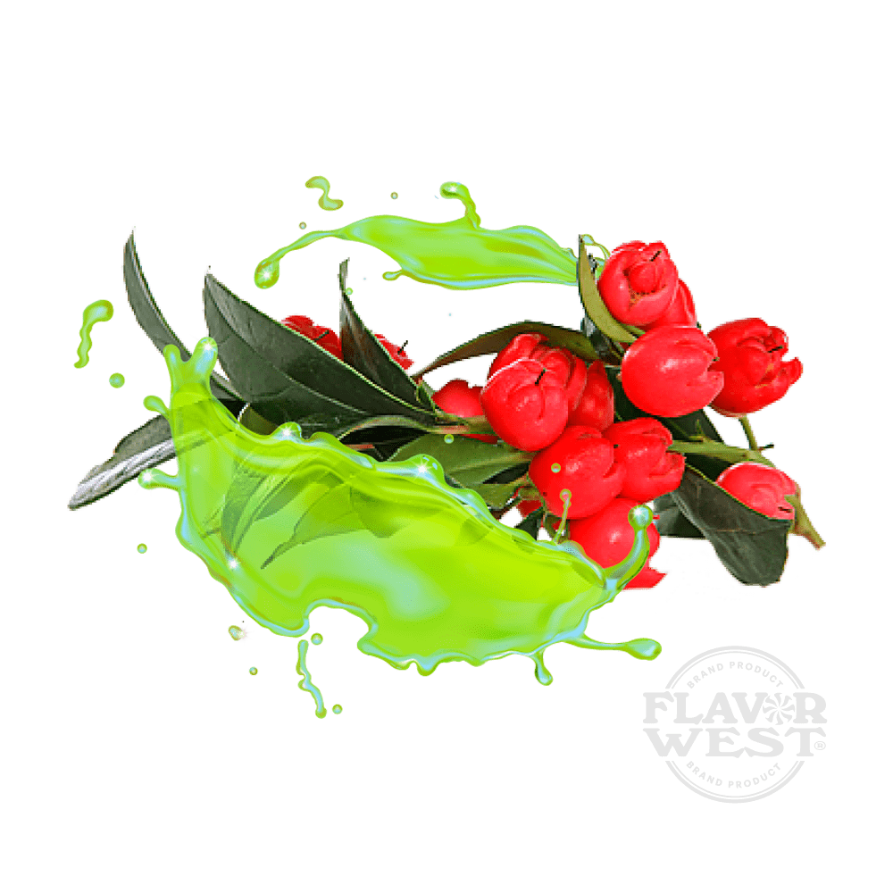 Wintergreen (OS)